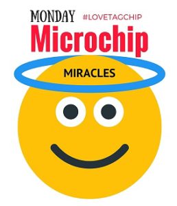 MicrochipMonday