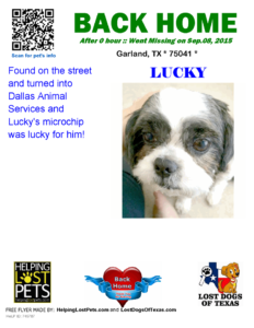 lost dog texas lucky
