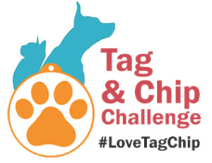 lovetagchipupdatedlogo