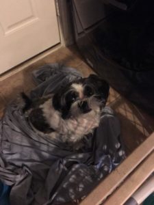 luckyreunited