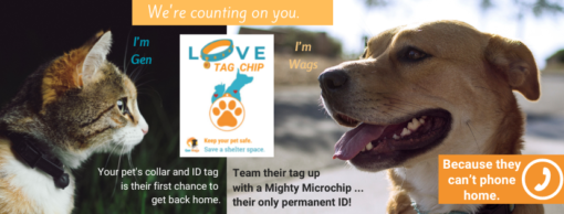 Keep your pet safe and save a shelter space. Love tag and chip your pet. Take the Gen Wags Love Tag Chip Challenge