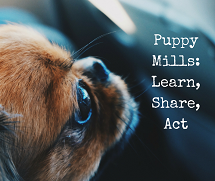 stop puppy mills