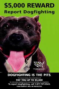 hsus dogfighting poster