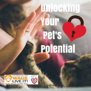 unlocking-pets-potential